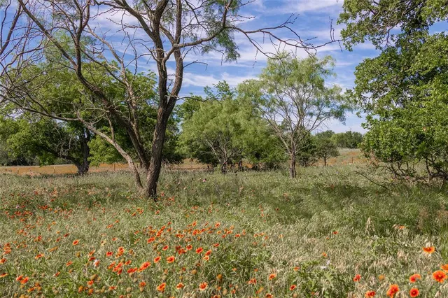 a view of lake with green space