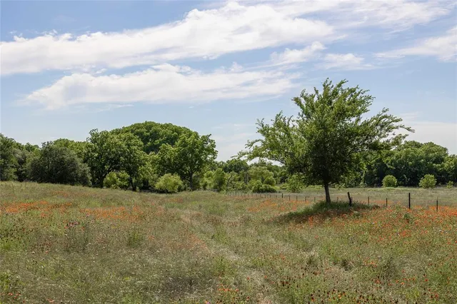 a view of a field with trees in background