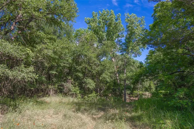 a view of yard with green space