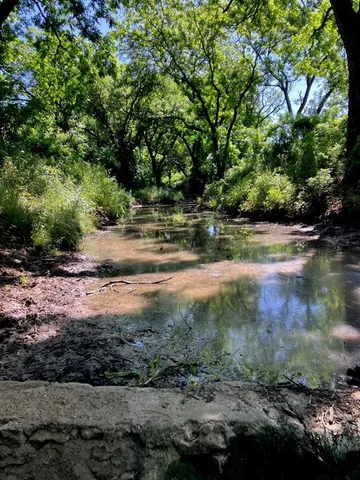 a view of yard with trees in the background