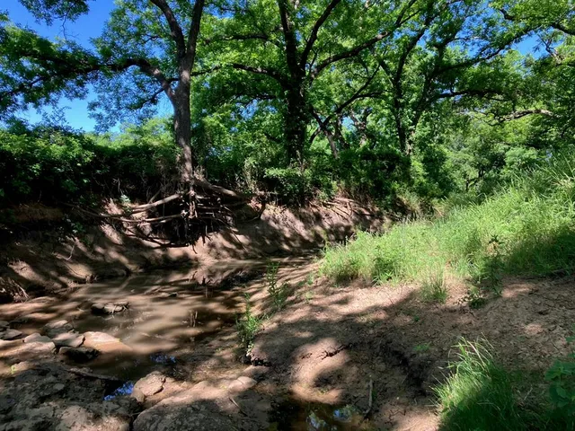 a view of a green yard
