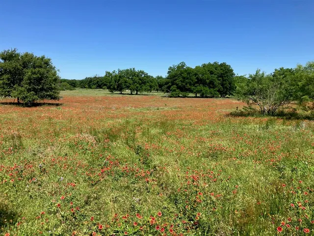 a view of backyard with green space