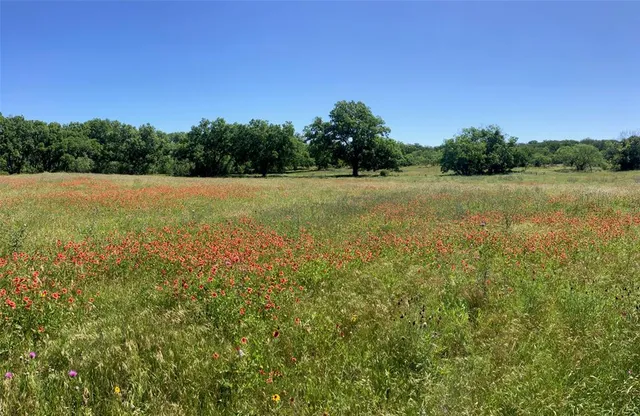 a view of a swimming pool
