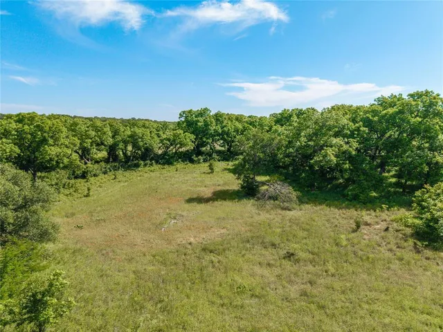 a view of a yard with a tree