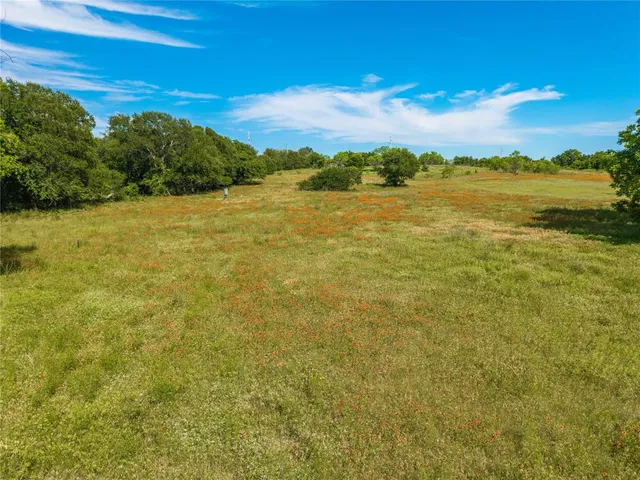 a view of an ocean from a yard