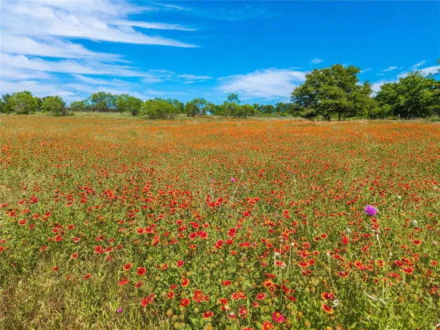 a view of an ocean and beach