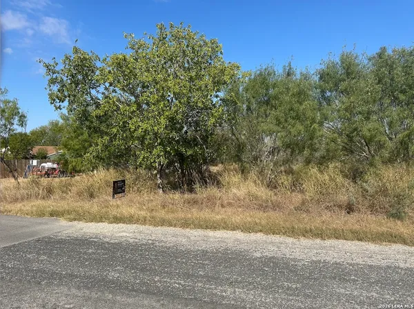 a view of a yard with a tree