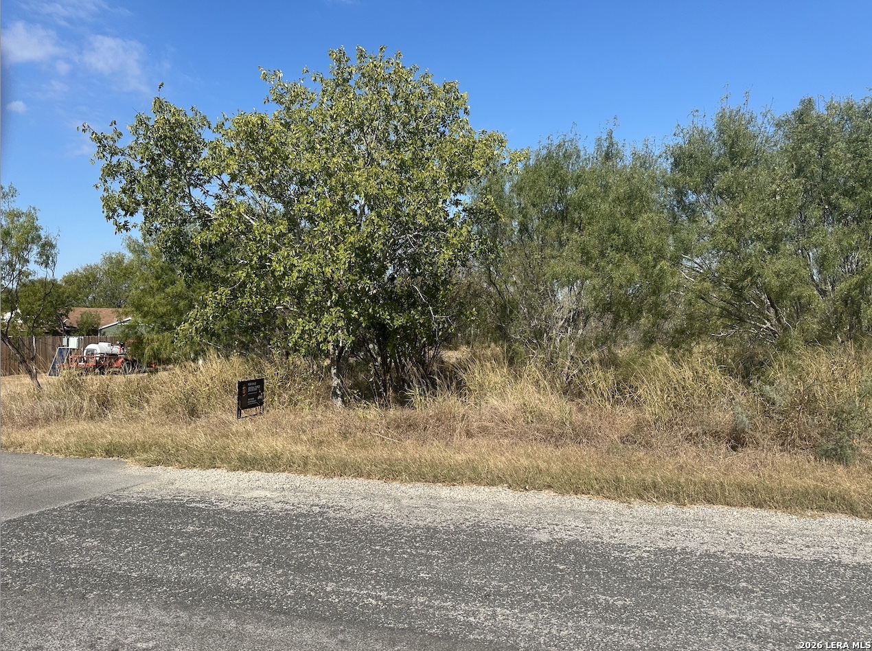 Tbd Olive Jourdanton, TX 78026 - Photo 2 of 4 a view of a yard with a tree
