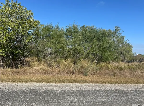 a view of a yard with trees