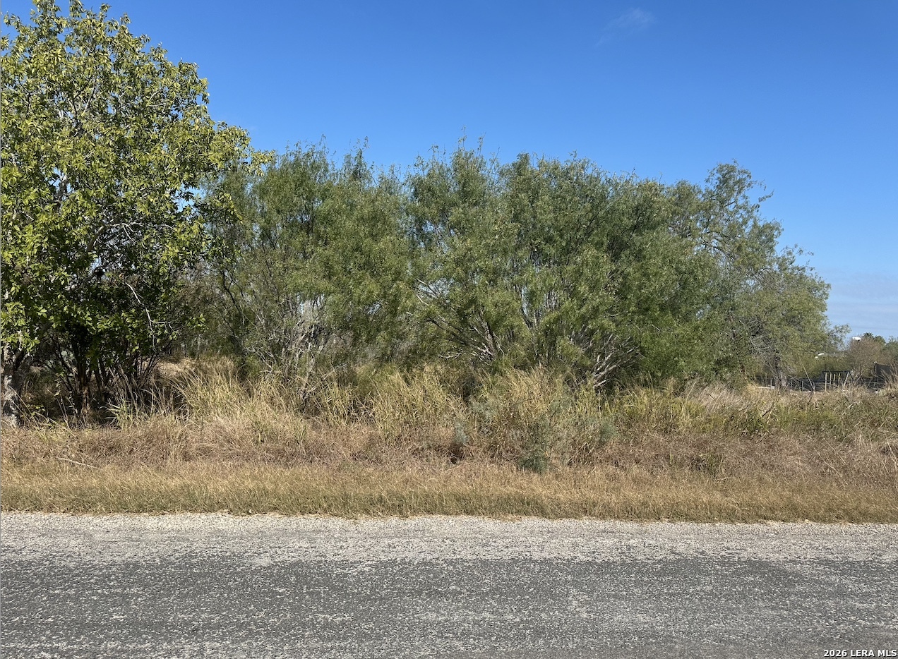 Tbd Olive Jourdanton, TX 78026 - Photo 4 of 4 a view of a yard with trees