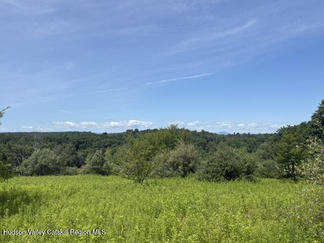 81 Maiers Road Craryville, NY 12521 - Photo 1 of 15 IMG_4228