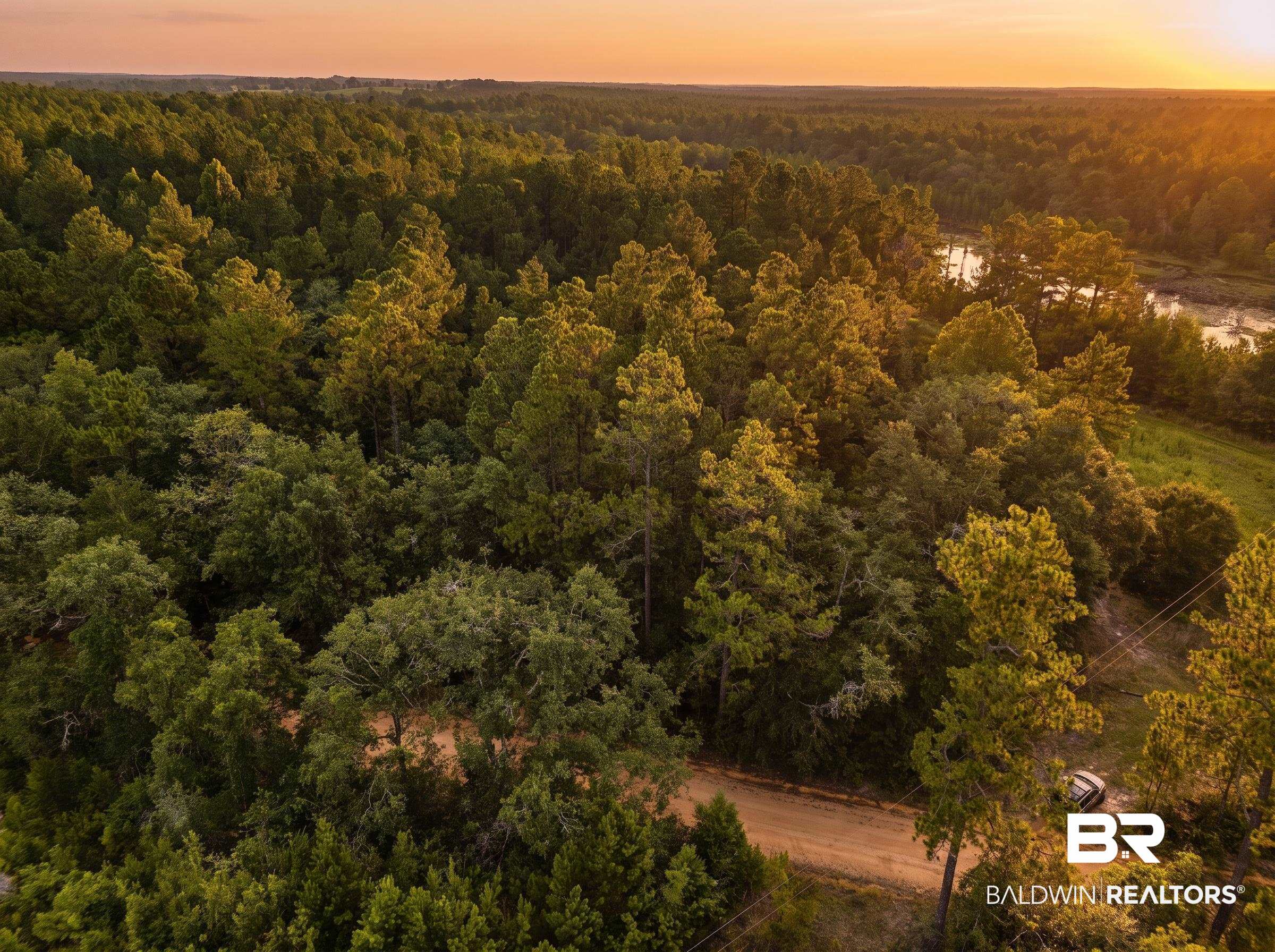 0 Doyle Morgan Road Samson, AL 36477 - Photo 22 of 22