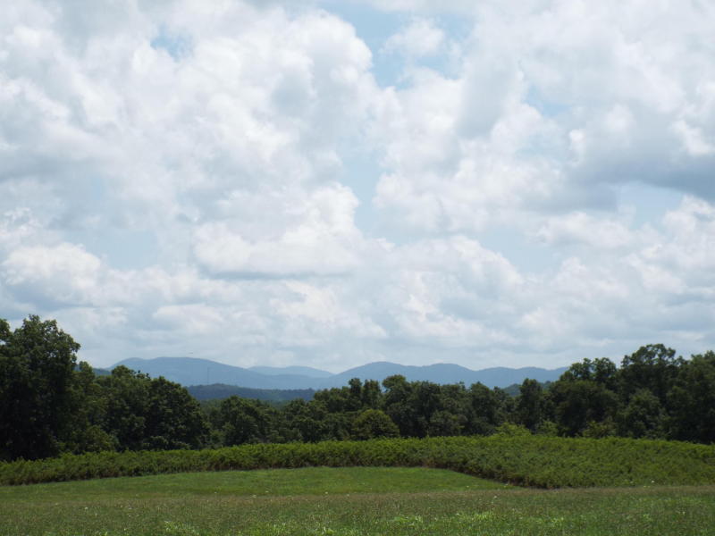 635 Pilot Mountain Road Sunbright, TN 37872 - Photo 1 of 14 PM1