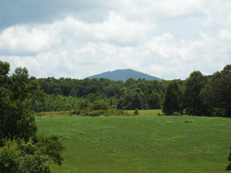 635 Pilot Mountain Road Sunbright, TN 37872 - Photo 2 of 14 PM3