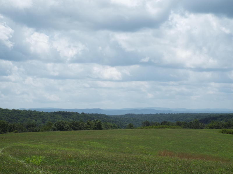 635 Pilot Mountain Road Sunbright, TN 37872 - Photo 11 of 14 PM11