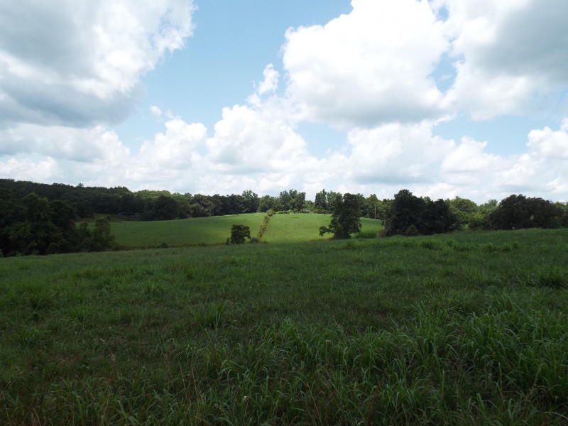 635 Pilot Mountain Road Sunbright, TN 37872 - Photo 12 of 14 PM12