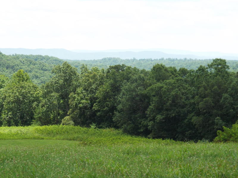 635 Pilot Mountain Road Sunbright, TN 37872 - Photo 13 of 14 PM13