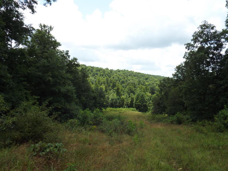 635 Pilot Mountain Road Sunbright, TN 37872 - Photo 14 of 14 PM14