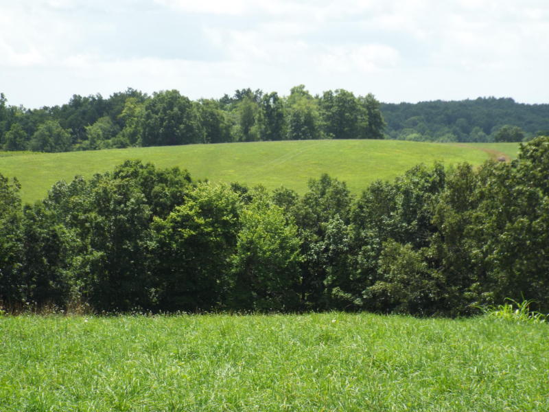 635 Pilot Mountain Road Sunbright, TN 37872 - Photo 3 of 14 PM2