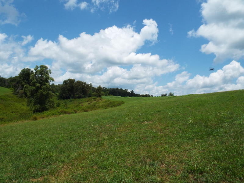 635 Pilot Mountain Road Sunbright, TN 37872 - Photo 4 of 14 PM4