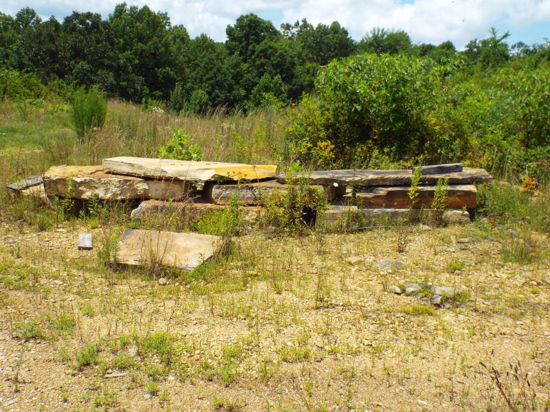 635 Pilot Mountain Road Sunbright, TN 37872 - Photo 10 of 14 PM10
