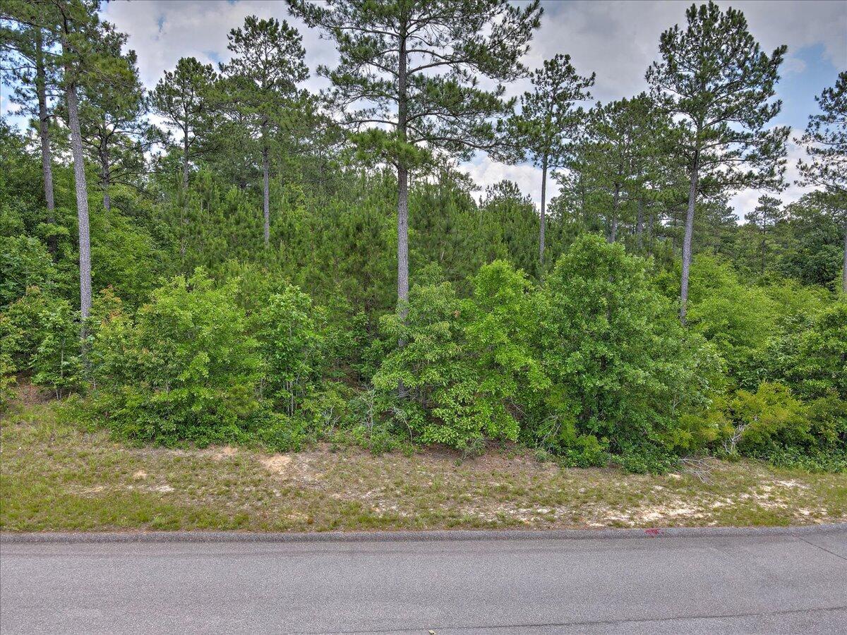 231 Cedar Ridge Drive Aiken, SC 29803 - Photo 13 of 15
