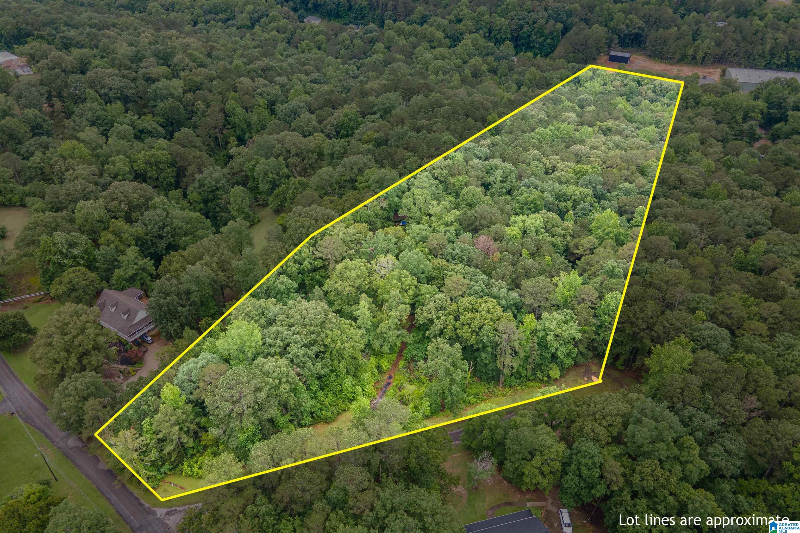 37 Forest Lane Warrior, AL 35180 - Photo 2 of 10