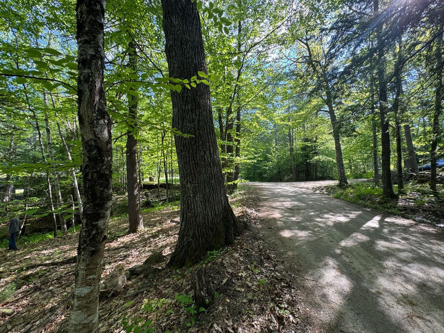 0 Peaked Hill Road Bristol, NH 03222 - Photo 26 of 33