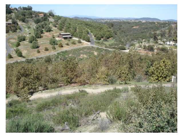 15435 Sierra Grande Road Valley Center, CA 92082 - Photo 3 of 7 Gallery Image 3