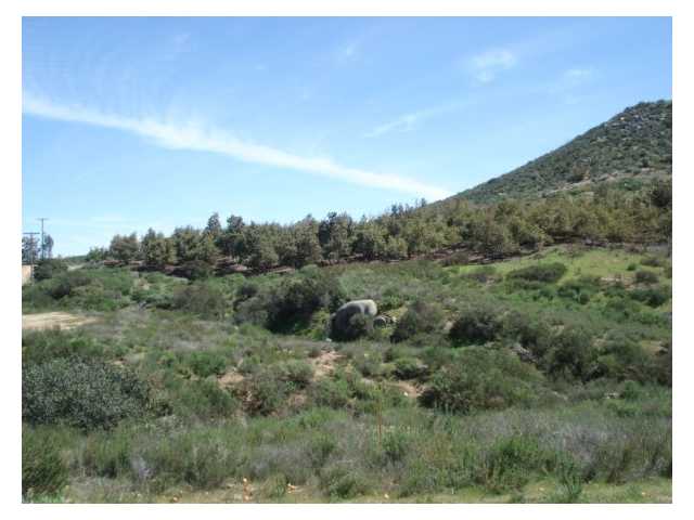15435 Sierra Grande Road Valley Center, CA 92082 - Photo 5 of 7 Gallery Image 5