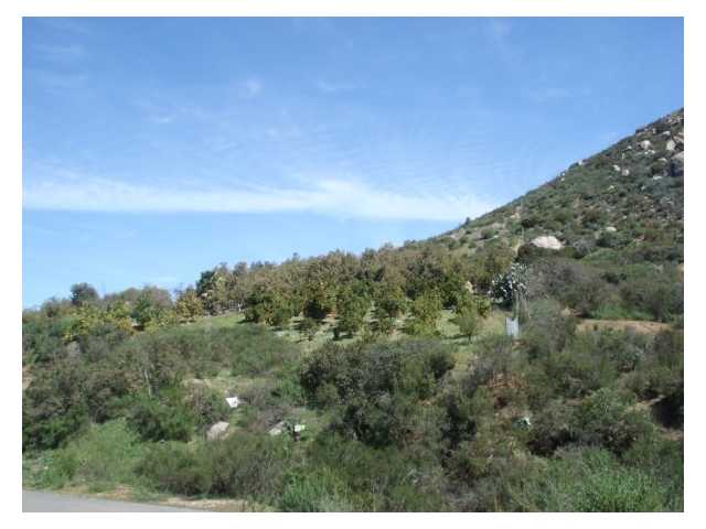15435 Sierra Grande Road Valley Center, CA 92082 - Photo 6 of 7 Gallery Image 6
