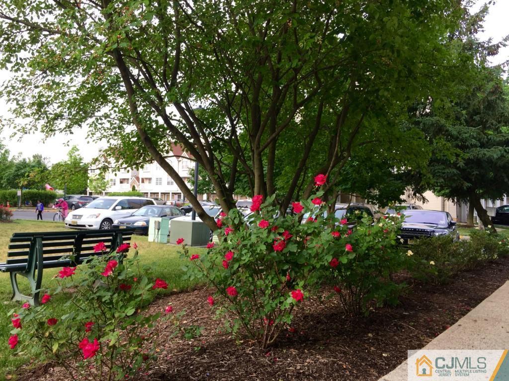 35 Inverness Drive Edison, NJ 08820 - Photo 15 of 15 a garden view