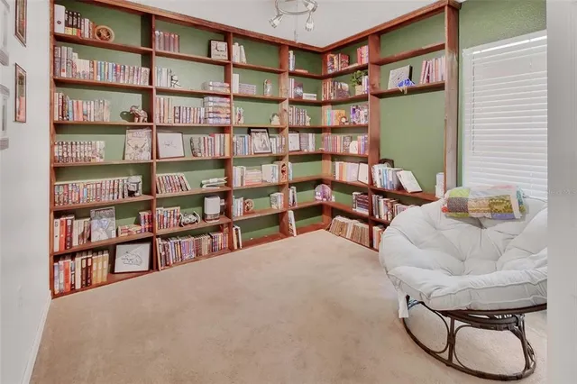 a living room with furniture cabinets and a book shelf