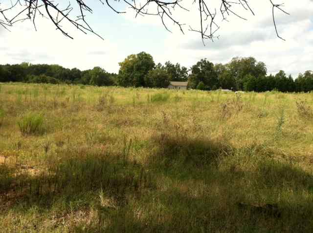 25.23-acres Lebanon Road Pendleton, SC 29670 - Photo 18 of 25