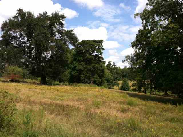 25.23-acres Lebanon Road Pendleton, SC 29670 - Photo 20 of 25