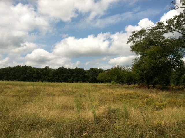 25.23-acres Lebanon Road Pendleton, SC 29670 - Photo 24 of 25