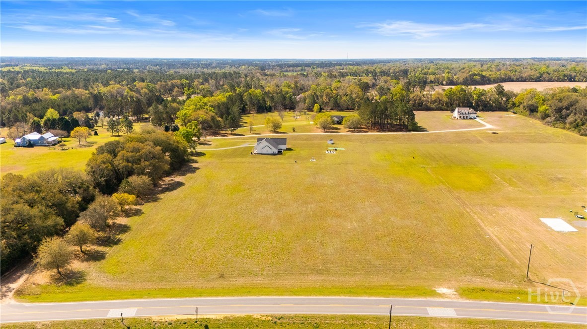 0 Clevy Deloach Road Brooklet, GA 30415 - Photo 4 of 6