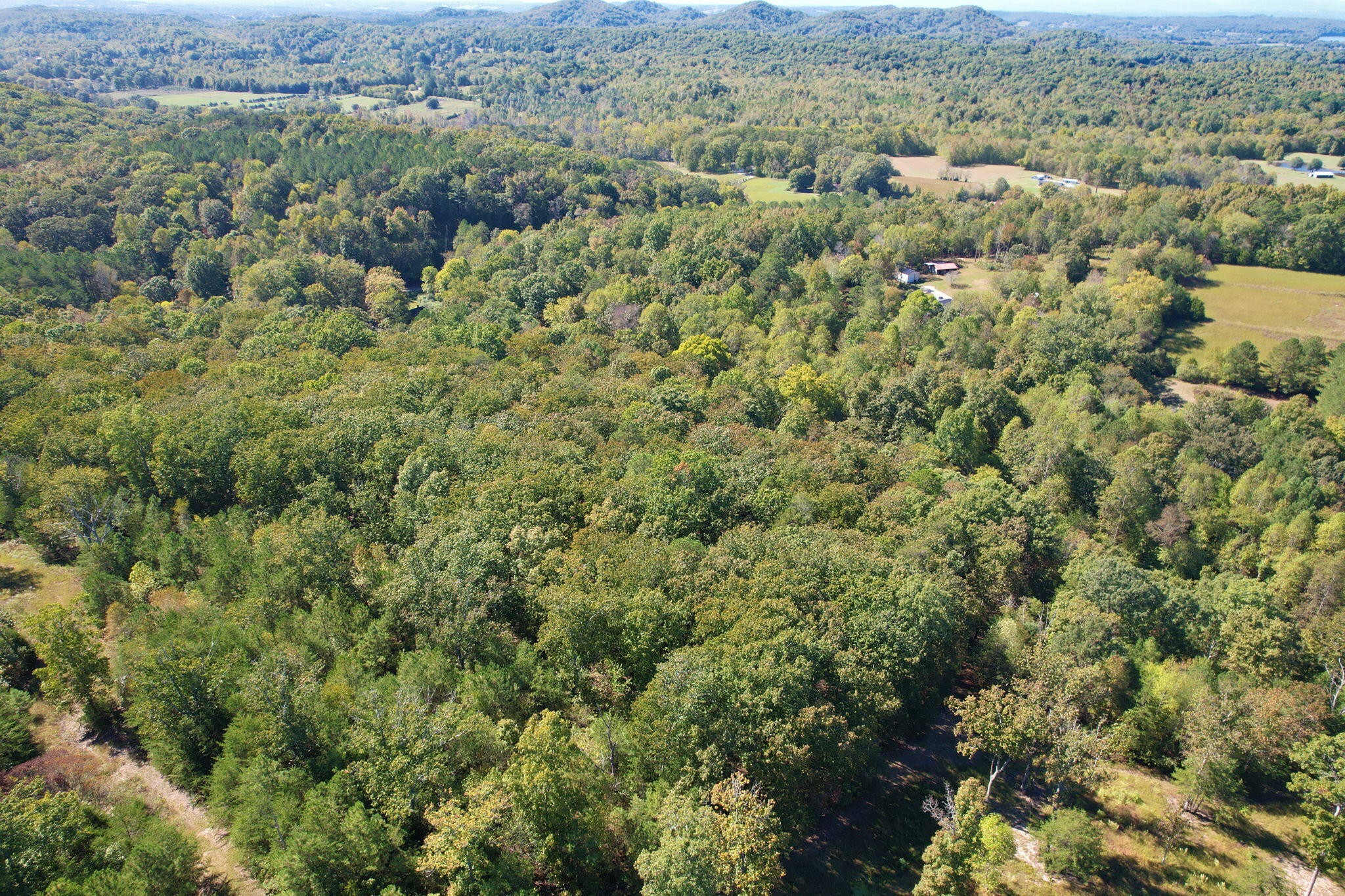 3 Eads Bluff Road Northwest Georgetown, TN 37336 - Photo 12 of 17