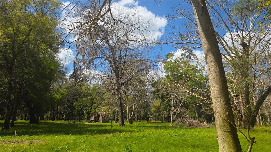 2140 St Johns River Road Astor, FL 32102 - Photo 8 of 13 a view of a park