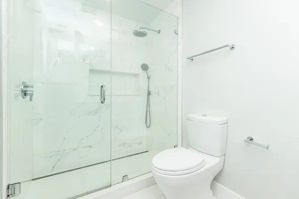 a bathroom with a toilet and a shower