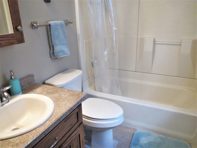 699 Searls Road Amboy, IL 61310 - Photo 11 of 30