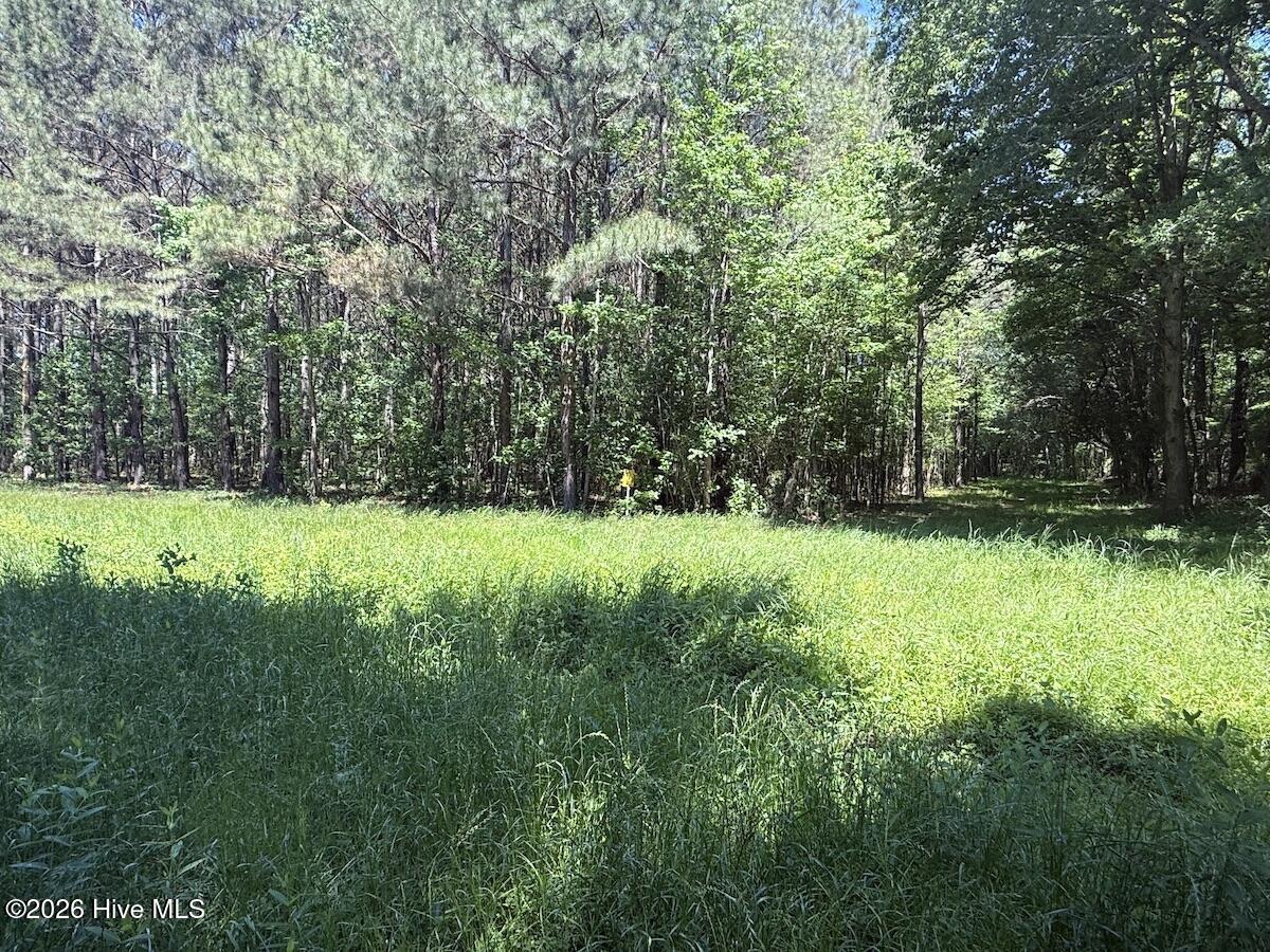 0 Kirkman Road Robersonville, NC 27871 - Photo 14 of 31 20