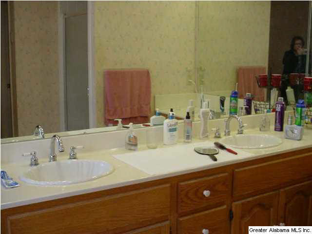 465 Mayfield Road Brent, AL 35034 - Photo 6 of 21
