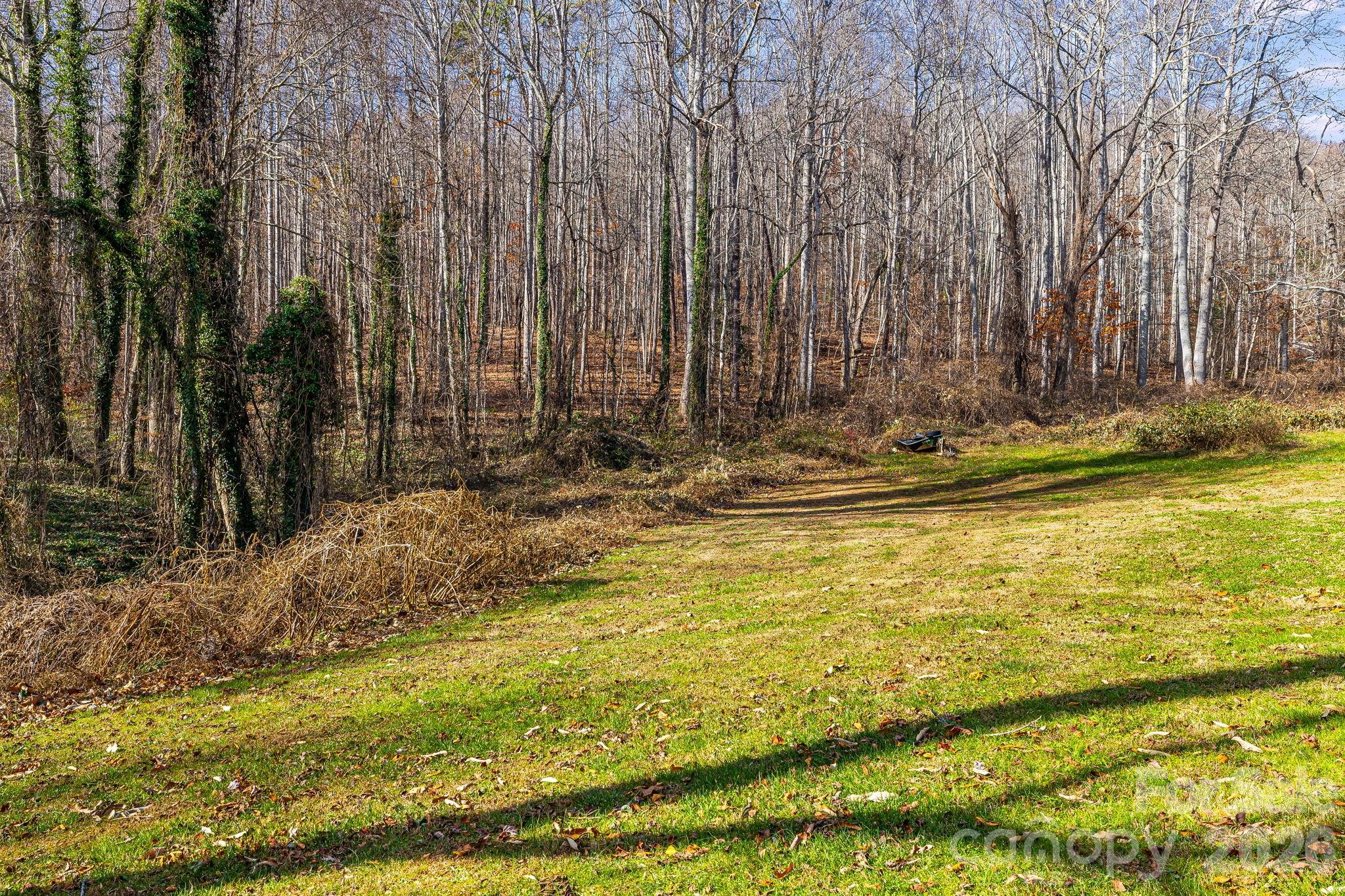 55 Harris Ridge Road Candler, NC 28715 - Photo 19 of 19 Gallery Image 19