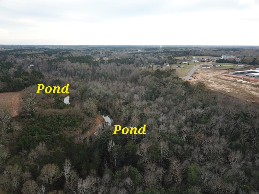 50.45-acres Trawick Road Dothan, AL 36301 - Photo 6 of 62