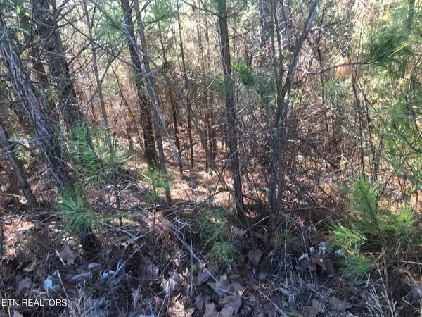 $35,000 | 147 Cherokee Ridge Drive, Ocoee, TN 37361