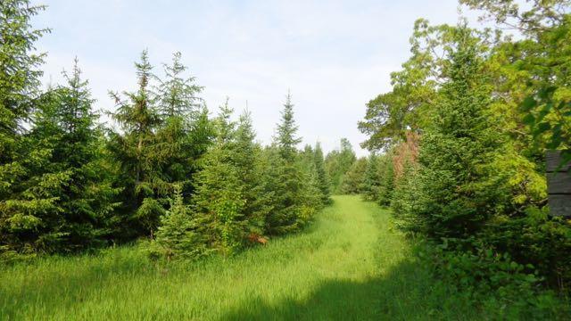 3576 115th Street Frederic, WI 54837 - Photo 1 of 1