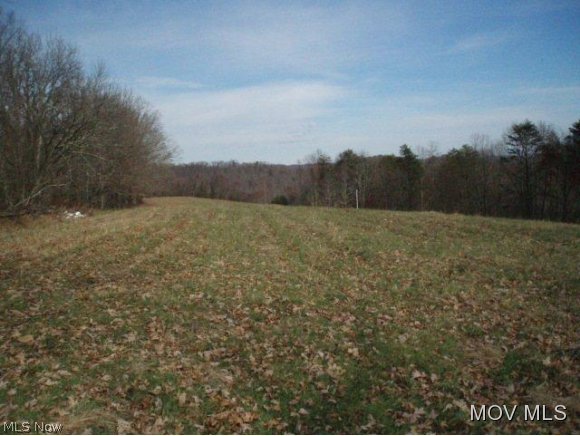 0 C Road Petroleum, WV 26161 - Photo 4 of 10 Gallery Image 4