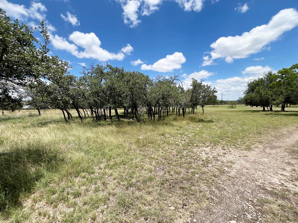 5078 Friedrich Road Fredericksburg, TX 78624 - Photo 42 of 66