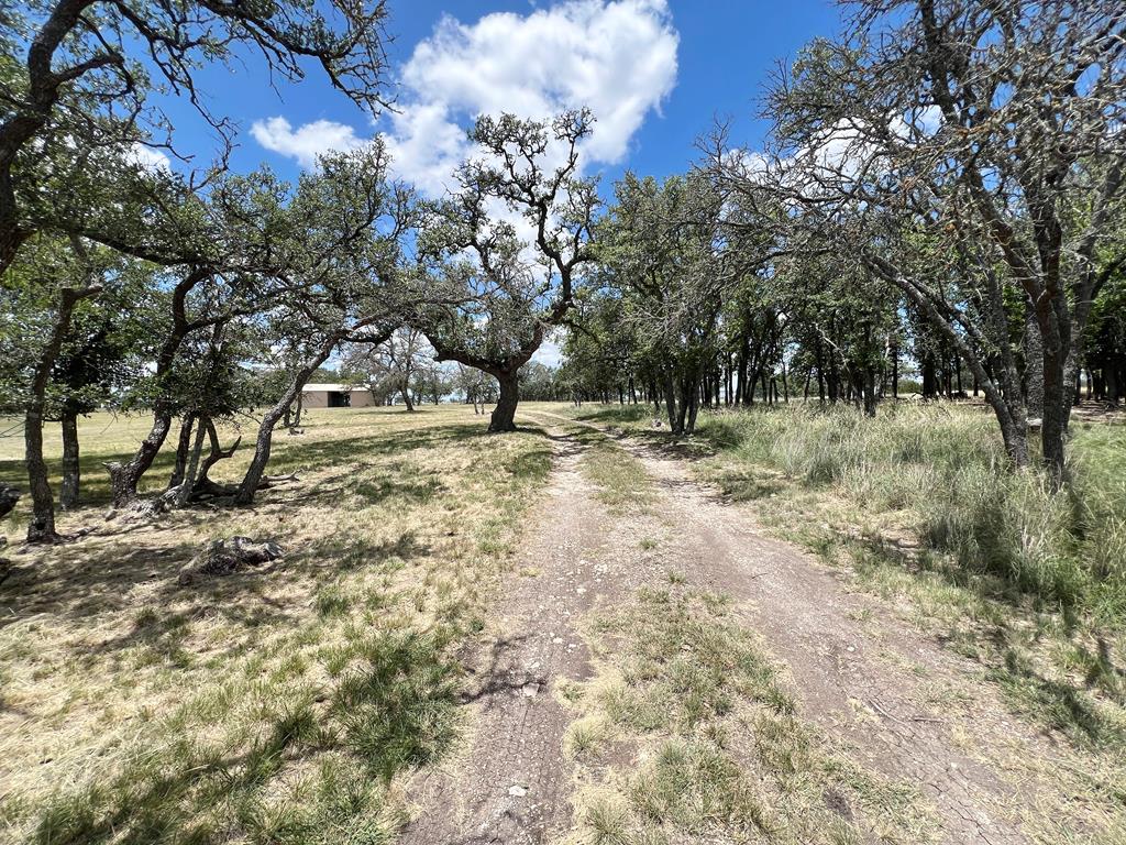 5078 Friedrich Road Fredericksburg, TX 78624 - Photo 44 of 66